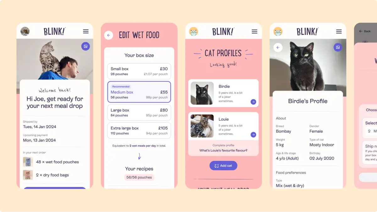 Blink account screens: welcome dashboard, box size options, cat profiles and a cat's profile page