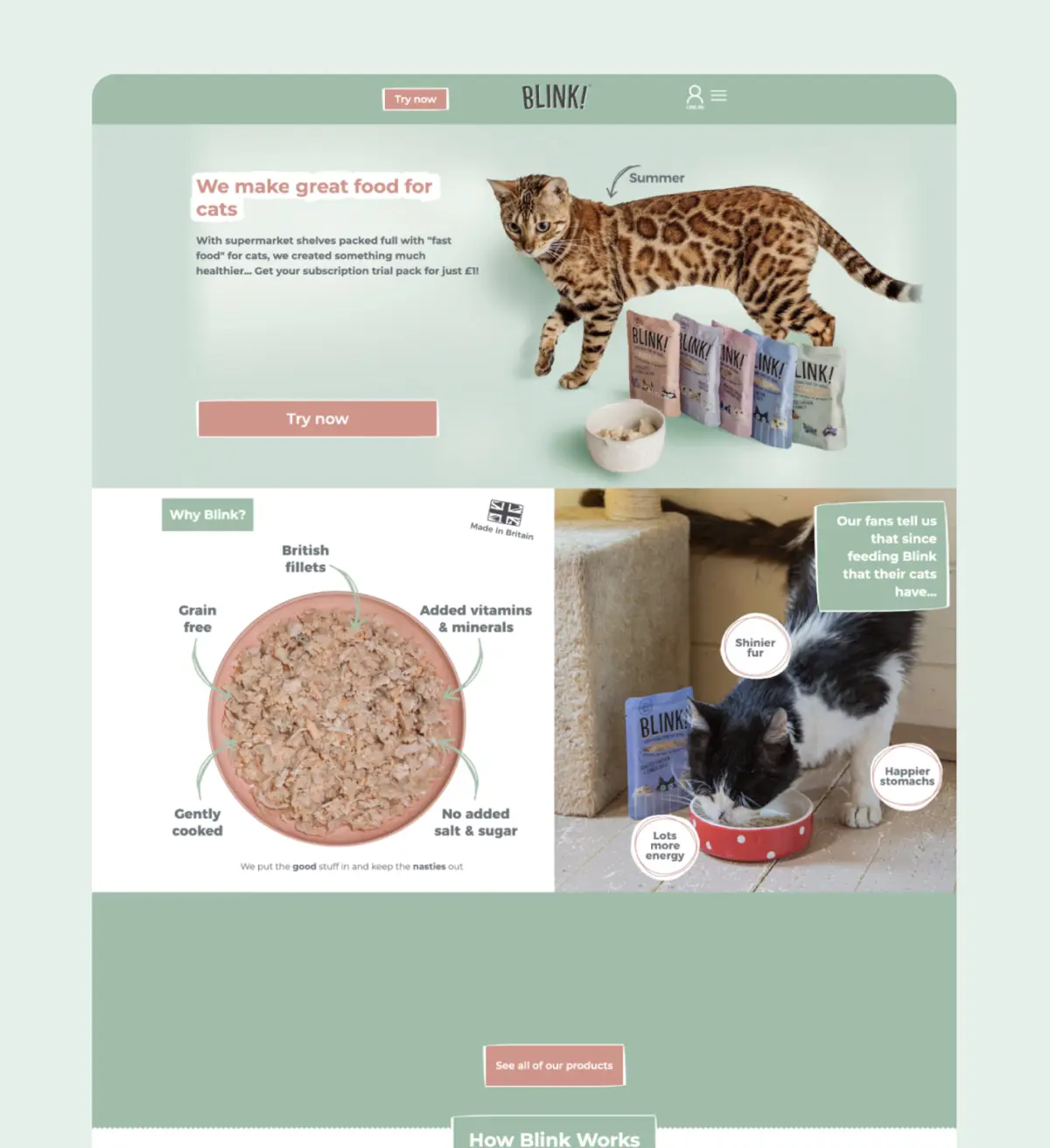Before: the previous Blink homepage, with a spotted cat and product packs on a green background